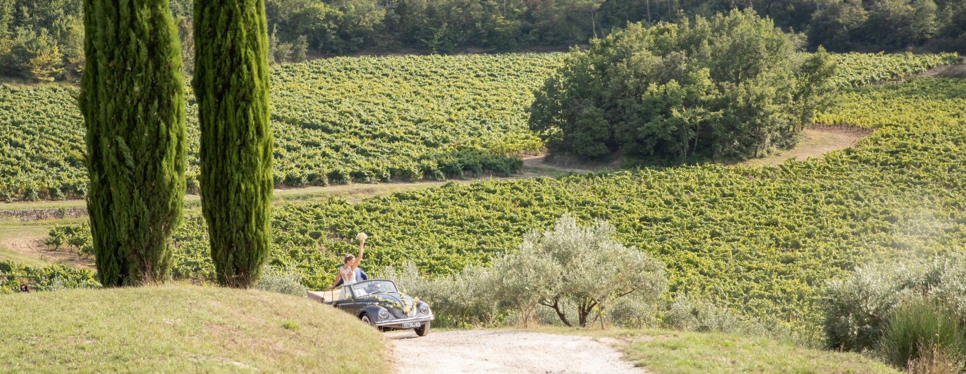 arrivee-mariage-provence