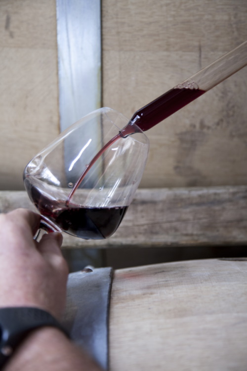 barrique-vins bio- cancerilles-provence