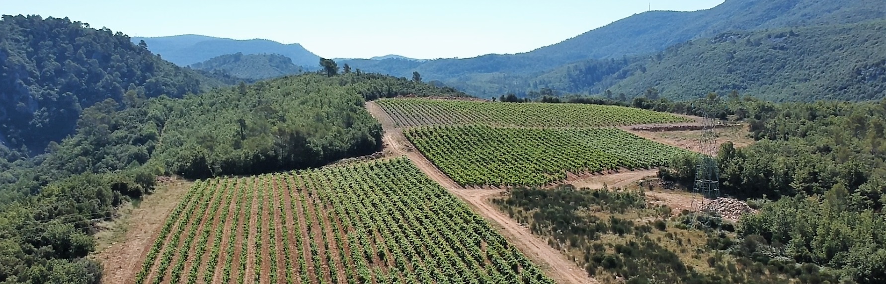 domaine viticole-vins terroir-agriculture biologique