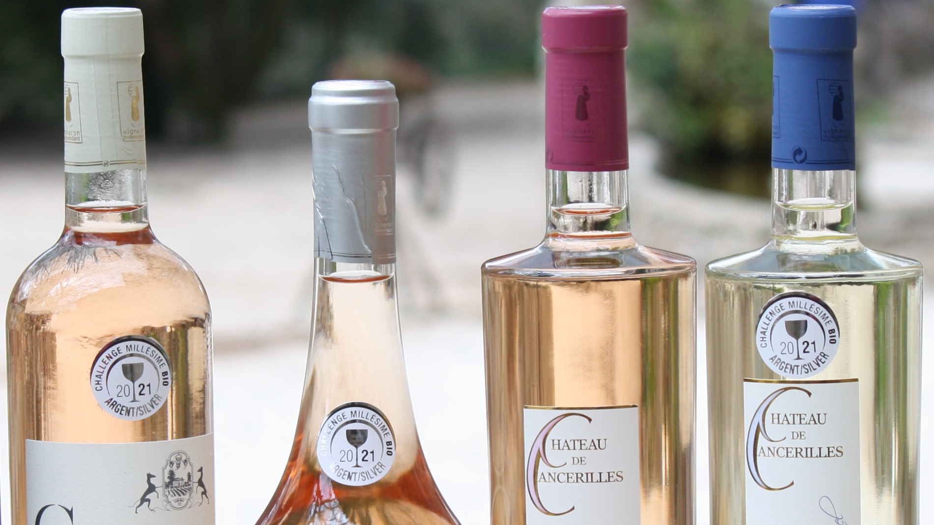 vins provence rosé producteur