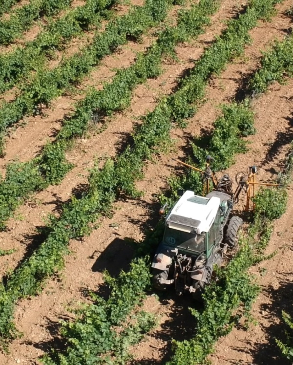 tracteur-travail de la vigne-domaine-vins bio