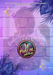 Chanteur-dj-soiree-dansante-var